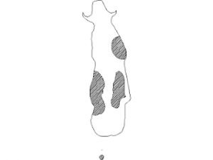 A cow in plan view CAD block preview