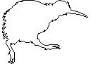 Kiwi Outline CAD block preview