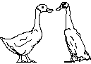 Ducks CAD block preview