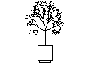 Indoor Pot Plant CAD block preview