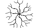 Tree Plan View - Type 33 – free CAD block preview