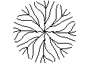Tree Plan View - Type 36 – free CAD block preview