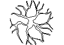 Tree Plan View - Type 37 – free CAD block preview