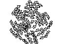Tree Plan View - Type 43 – free CAD block preview