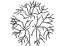 Tree Plan View - Type 71 – free CAD block preview
