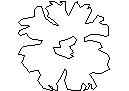Tree Plan View - Type 81 CAD block preview
