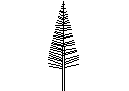 Tree in Elevation - Type 1 CAD block preview