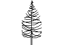 Tree in Elevation - Type 3 – free CAD block preview