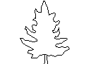 Tree in Elevation - Type 4 – free CAD block preview