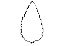 Tree in Elevation - Type 5 CAD block preview