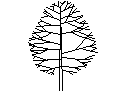 Tree in Elevation - Type 7 – free CAD block preview