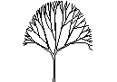 Tree in Elevation - Type 8 CAD block preview