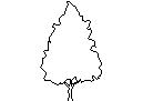 Tree in Elevation - Type 10 CAD block preview