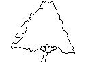 Tree in Elevation - Type 12 CAD block preview