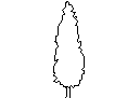 Tree in Elevation - Type 13 – free CAD block preview