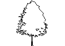 Tree in Elevation - Type 15 CAD block preview