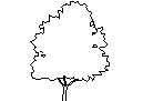 Tree in Elevation - Type 18 CAD block preview