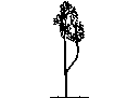 Tree in Elevation - Type 22 CAD block preview