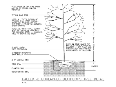 Balled and Burlapped Deciduous Tree Planting Detail CAD block preview