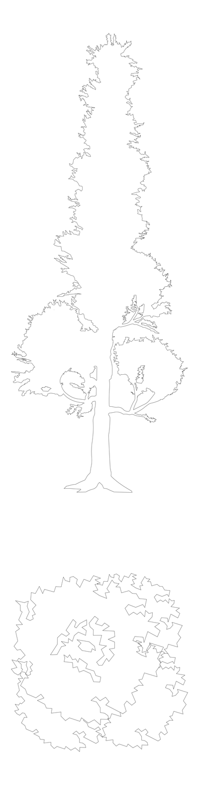 Fastigiate Tree - Elevation and Plan CAD block preview