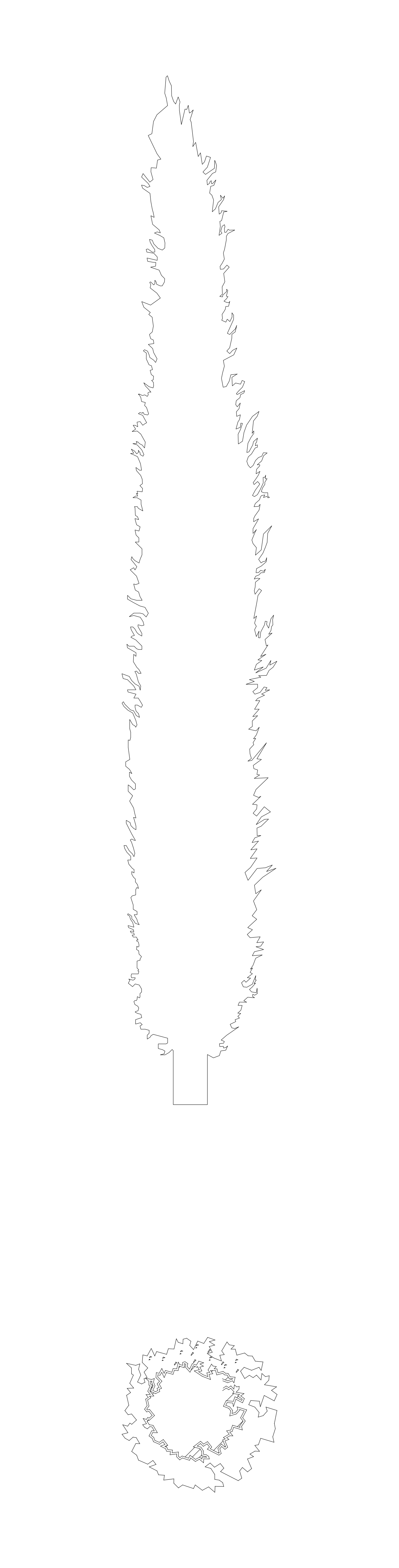 Lombardy Poplar Tree - Elevation and Plan – free CAD block preview