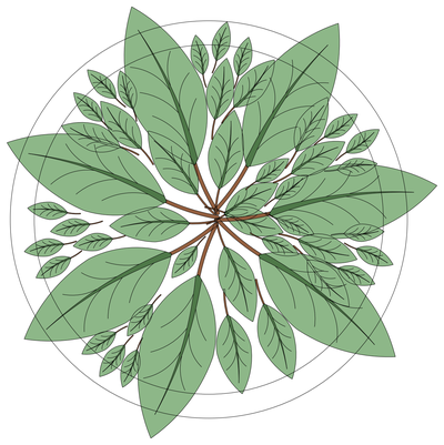 Leafy Tree - Plan View CAD block preview